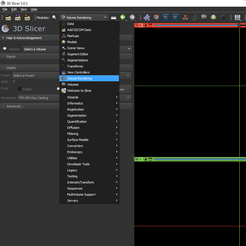 Select Volume Rendering Module from Modules list